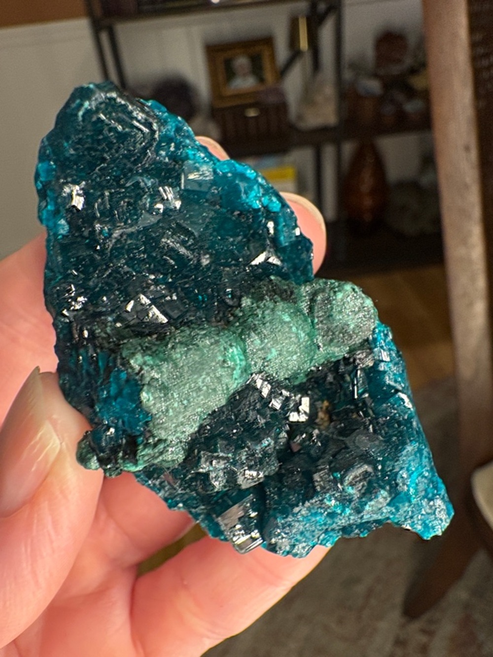 Dioptase Specimen/bubble Malachite